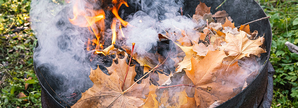Burning leaves in a firepit