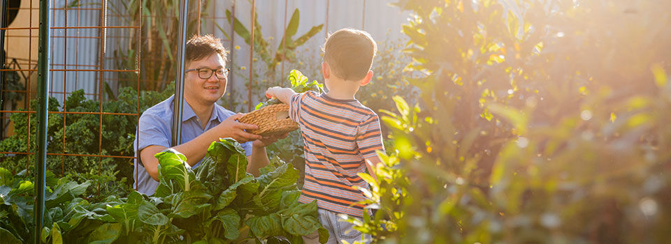 Father and son in the backyard gardening