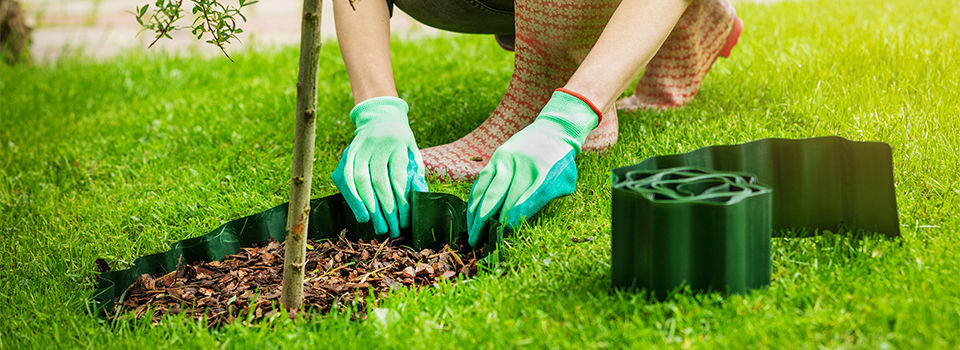 Lady in rubber rain boots, crotched down next to a small tree, adding in landscape edging around a layer of mulch