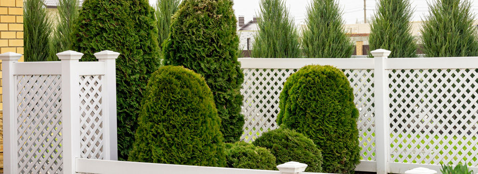 garden fence