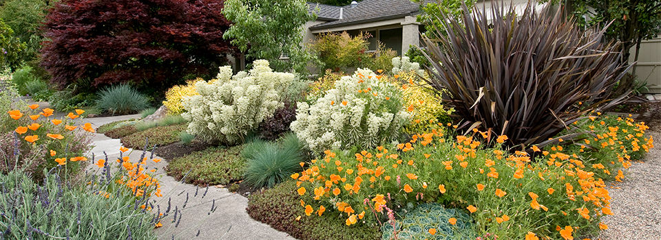 beautiful ideas for garden landscaping