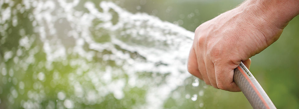 A close up image of a hand holding a gray garden hose while watering a green lawn