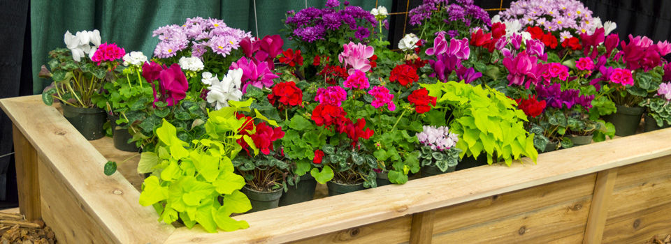 large modern raised planter