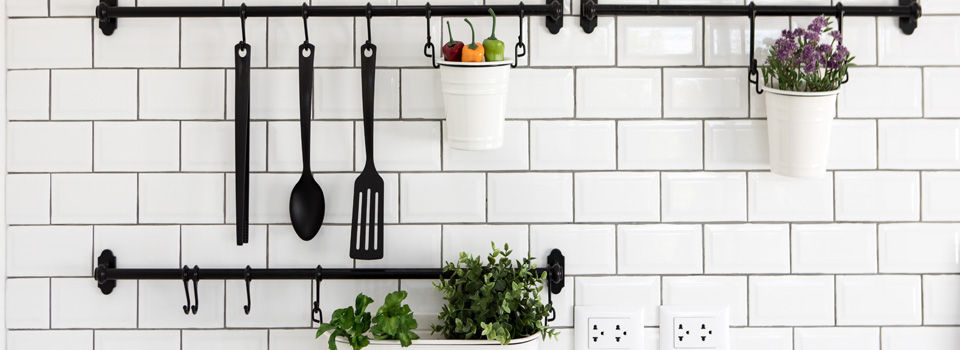 Plants in kitchen