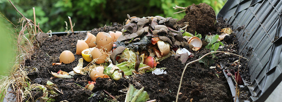 Compost bin