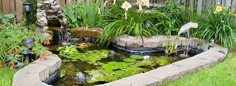 How to Install a Water Garden