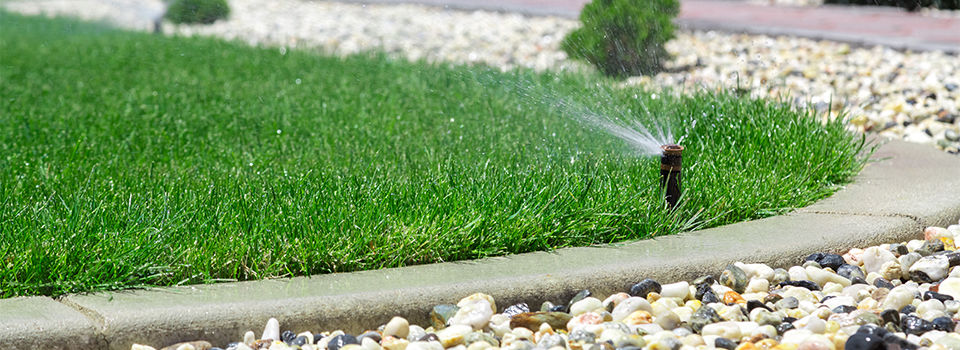 An automatic sprinkler watering a lawn
