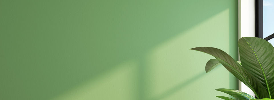 brightly painted green wall
