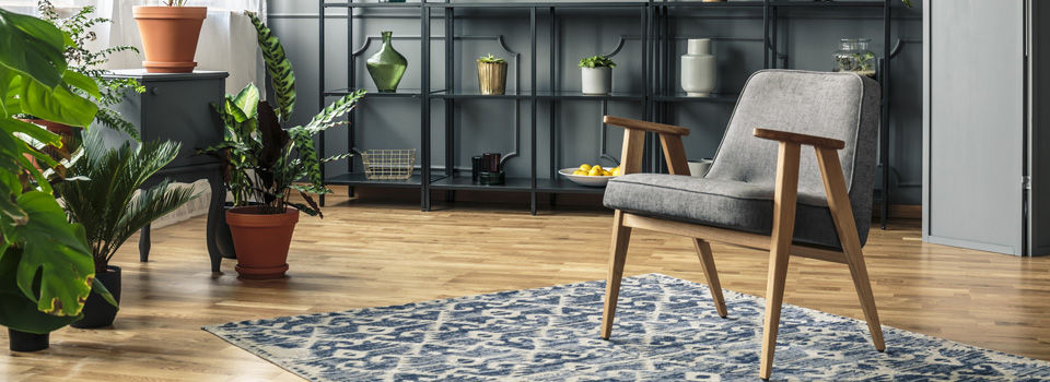 room with chair and plants