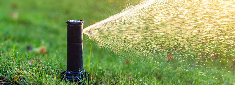 Tips for Maintaining an Irrigation System | True Value Hardware