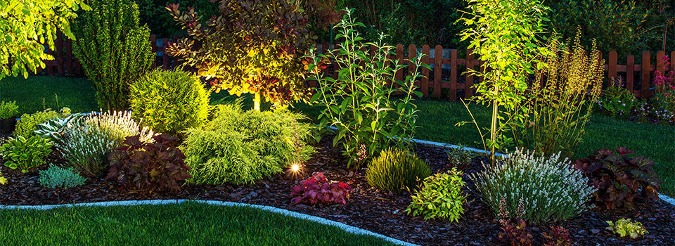 Landscape lighting in a backyard