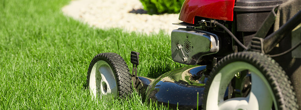 A red lawn mower