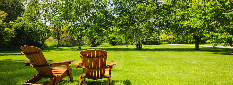 Two wooden lawn chairs facing an open grassy area with trees