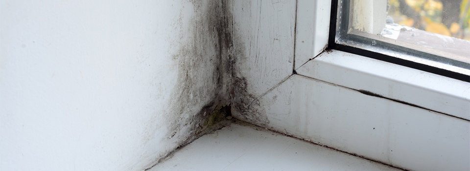 A close up image of a window frame with mold growing in the corner