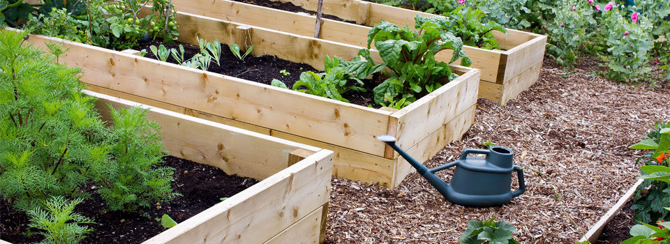 Raised Garden Bed