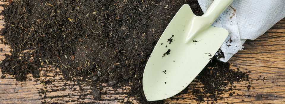 garden soil and tool