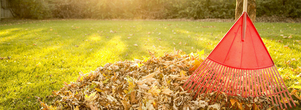 A red rake by a pile of leaves in a green lawn