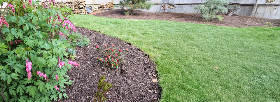 Simple yard cleanup - garden bed and brown mulch 