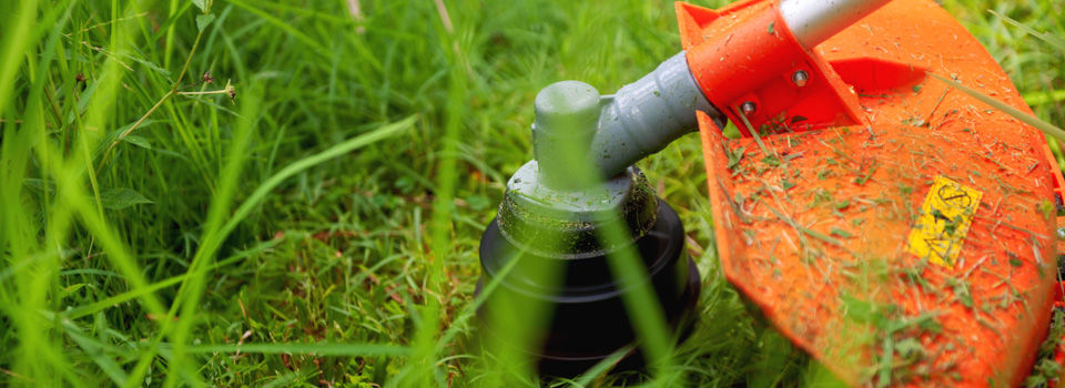 string trimmer cutting grass