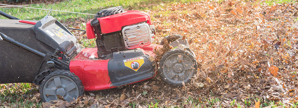 Mowing the lawn