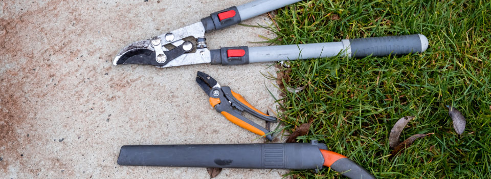 trimming and pruning tools 