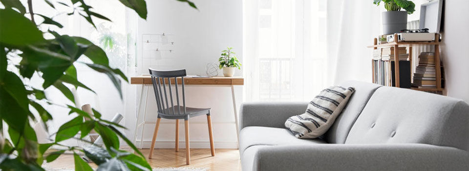 Avoid Harmful Chemicals with Low-VOC Paint