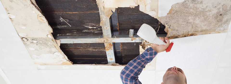 Repairing Water damage