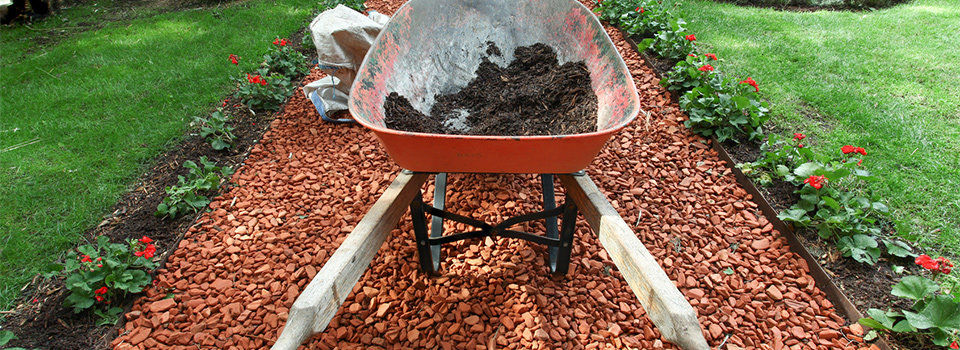 Wheelbarrow in garden