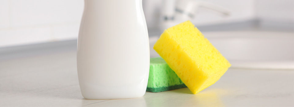 dish soap on counter with sponges in kitchen 