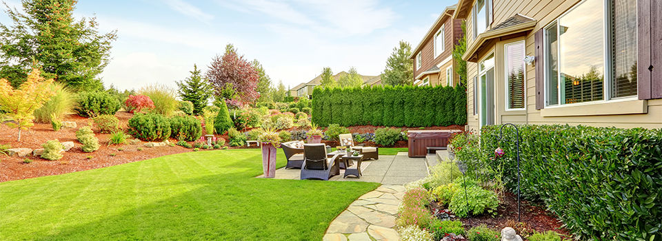 Backyard patio