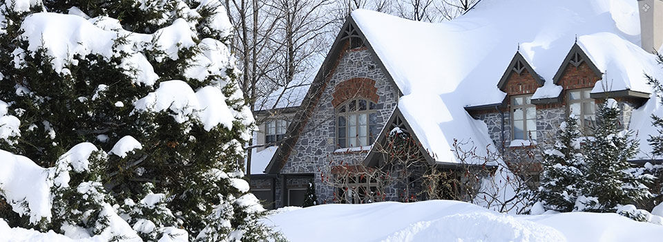 A house covered in snow with a pine tree in the front yard