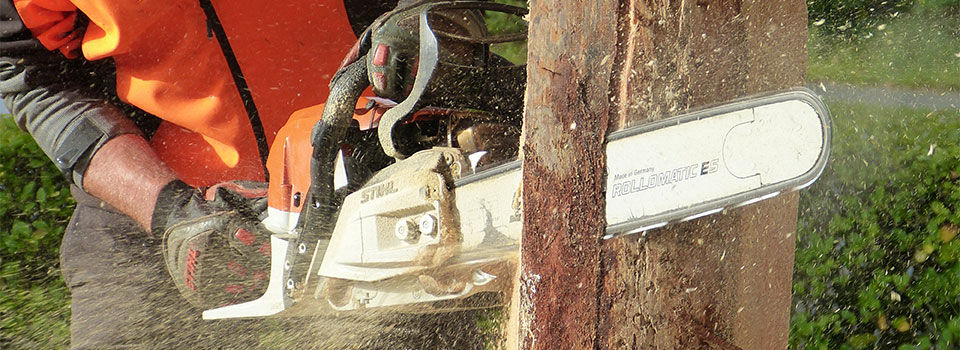 A man wearing a orange safety vest with safety gloves using a gas powered chain saw to cut through a wood stump