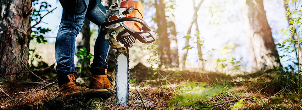 Person wearing boots and jeans with a chainsaw in a wooded area