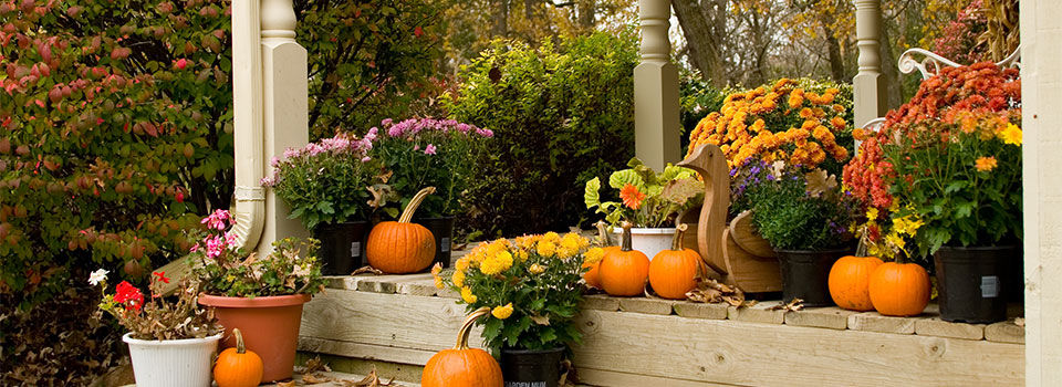 Fall porch decorated with pumpkins, colorful mums and fall wooden decor