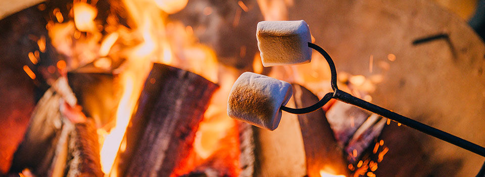 Marshmallows roasting over a fire