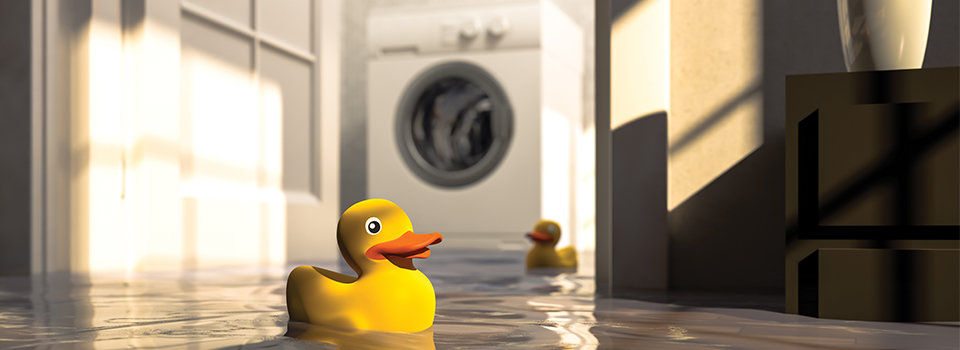 Rubber ducks floating in water with the laundry room in the background blurred