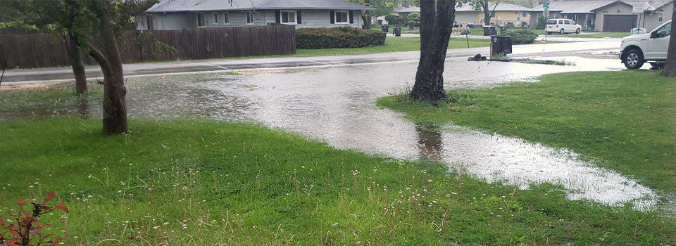 A flooded lawn