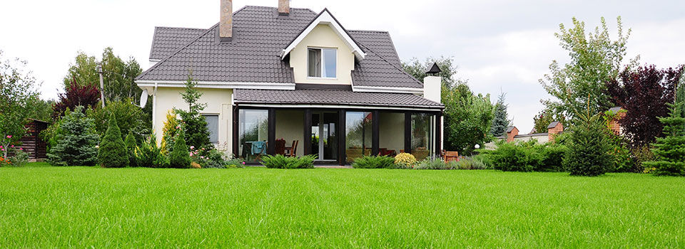 A lushious green lawn in front of a modern home with a metal roof and beautiful landscape 