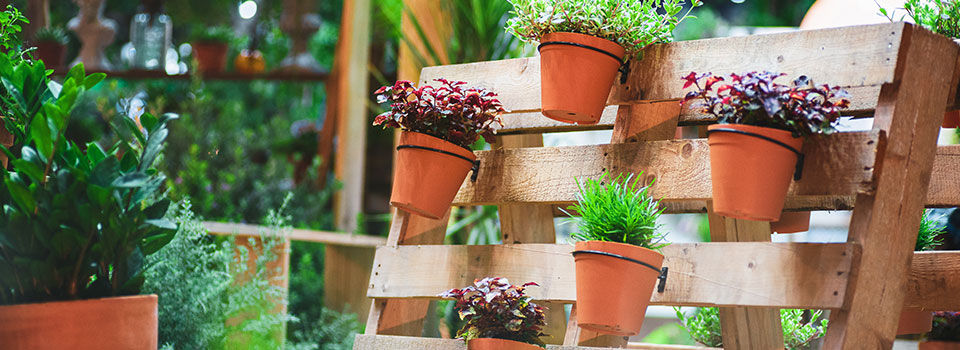 Potted flowers hanging on a wood pallet 