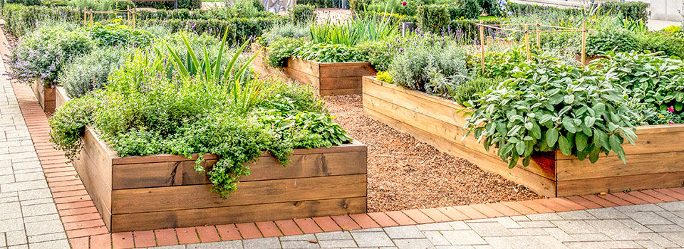 Wooden raised garden beds on top of brick walkway