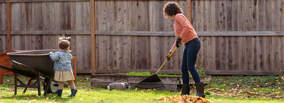 Fall lawn care