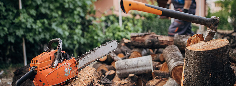 An axe stuck into a tree stump with chopped wood surrounding