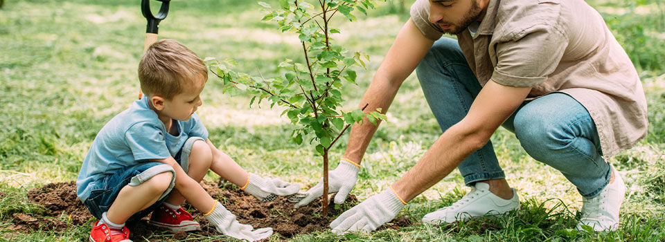 A father and son wearing gardening gloves putting dirt around a newly planted tree