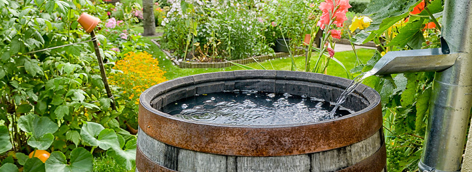 A wooden rain barrel in a garden with a metal spout from a downspout pouring water into it 