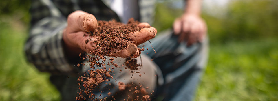 A close up image of a man's hand holding and looking at soil