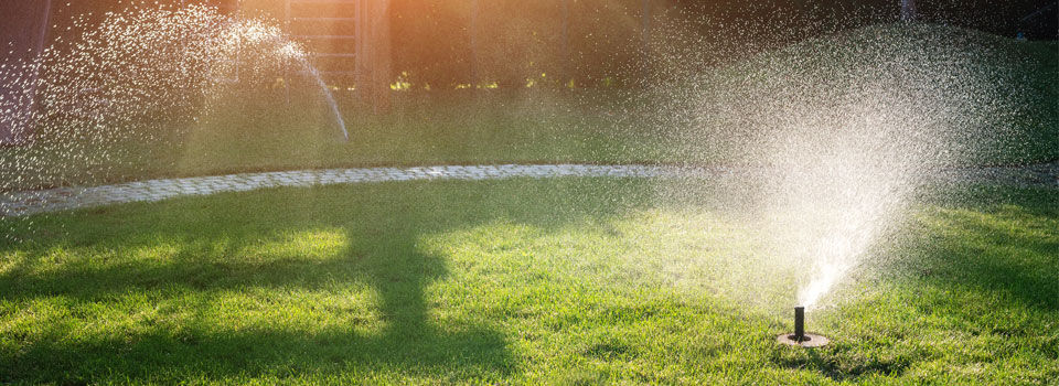 Running under ground sprinkler system on a nice sunny summer day