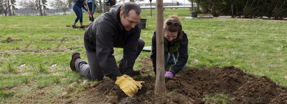 Two people putting dirt around the base of a tree