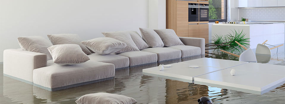 Major flooding in living room and kitchen. Damaged furniture, pillows, and coffee table 