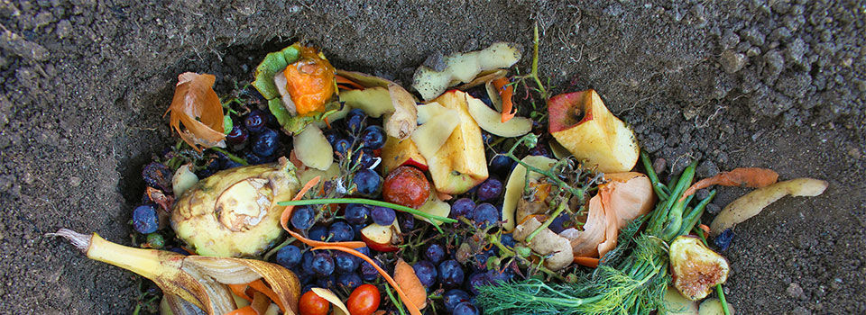 A pile of food scraps in a dirt trench