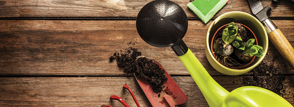 An overhead view of a wooden worktop with gardening tools & supplies